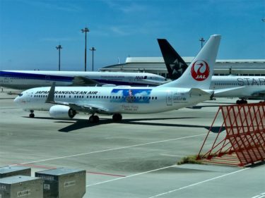 JAL JTAで安室奈美恵さんタイアップ特別仕様機、安室ジェット（AMURO JET）運行スケジュールや絶好の撮影ポイントは？  す。マイル！のんびり楽しくANAのSFC修行